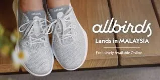 allbirds.com