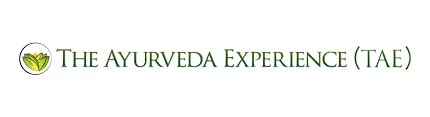 theayurvedaexperience.com