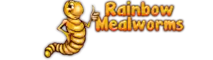 rainbowmealworms.net